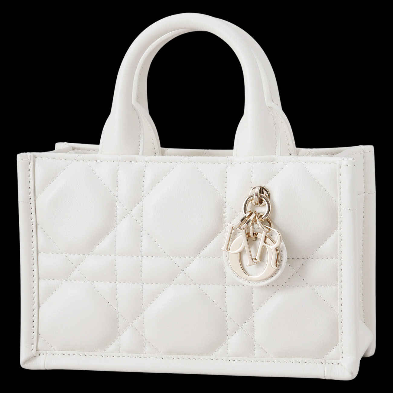 CHRISTIAN DIOR(USED)디올 북토트 미니 백